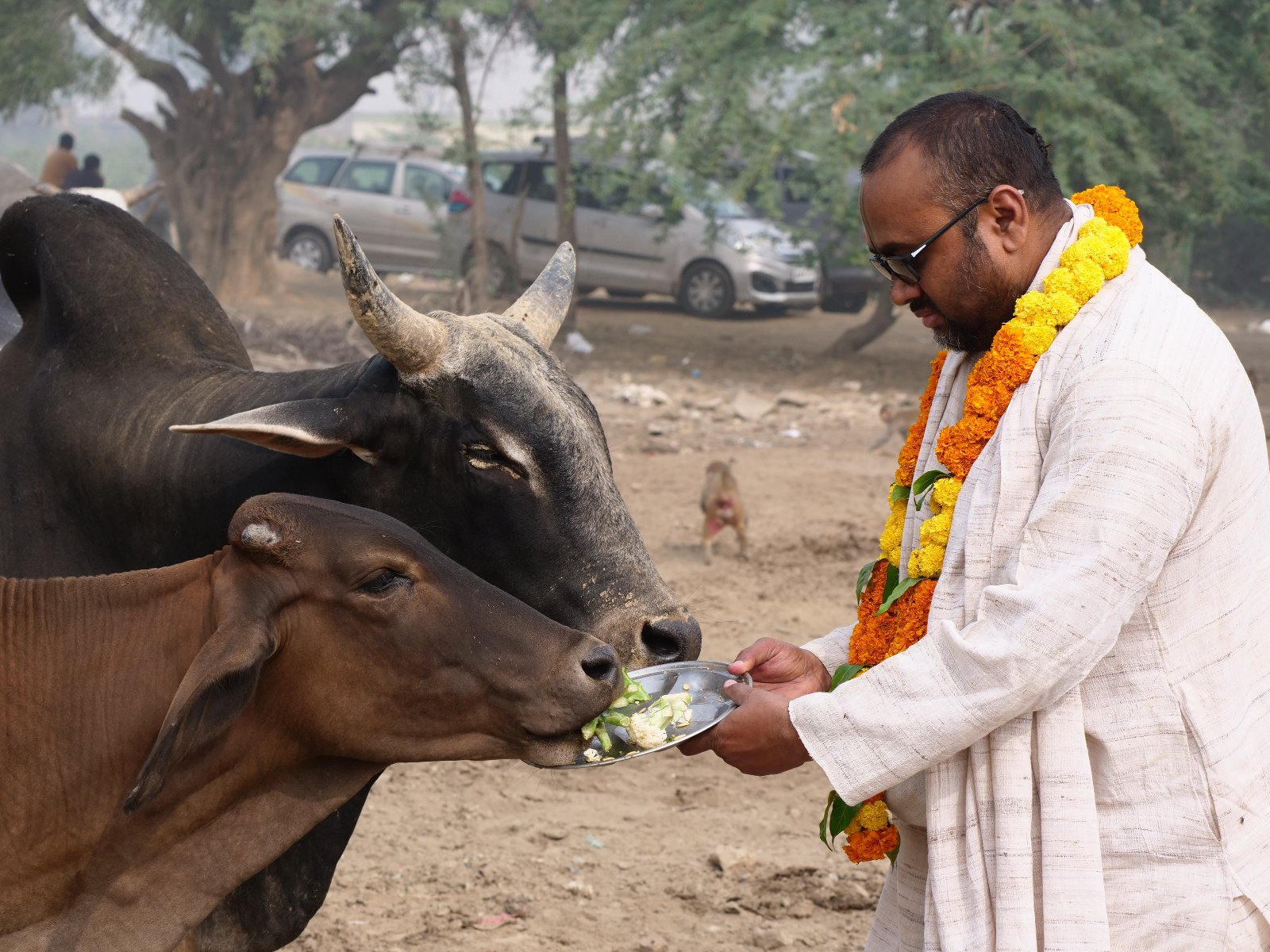  176 Gopashtami Radha kunda Govardhan 19.11.04